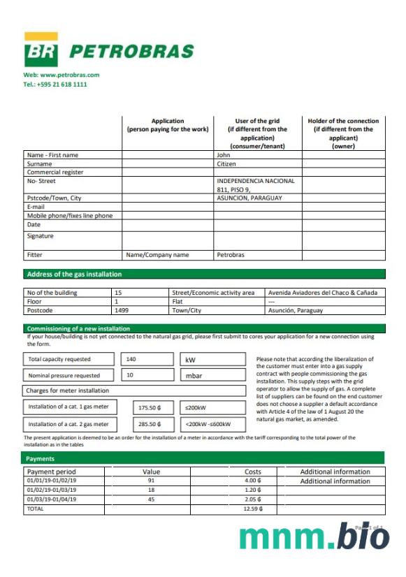 Paragwaj Petrobras Paragwaj Operations and Logistics Gas company rachunek za media szablon w formacie Word i PDF